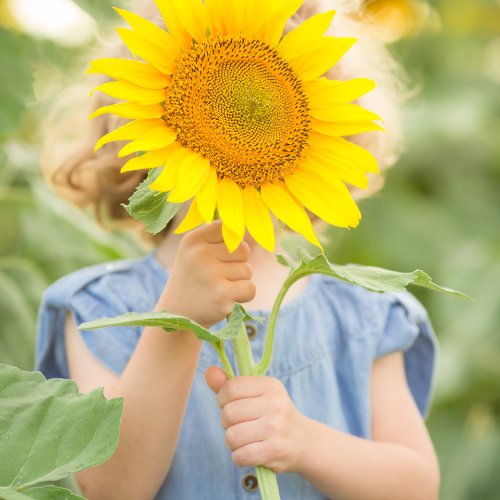 Image pour la partie enfant